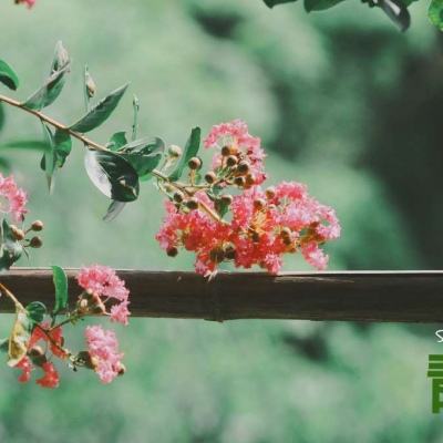 pg电子娱乐平台